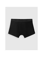 Pánské boxerky (3 balení) 4F 4FRSS26UBXSM103-90S