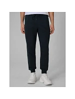 Pánské tepláky typu jogger 4F 4FRSS26TTROM1986-31S