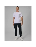 Pánské tepláky typu jogger 4F 4FRSS26TTROM1986-31S