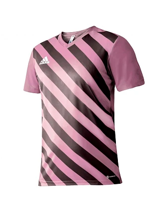Adidas Entrada 22 Graphic Jersey M HC2633 pánské