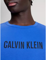 Spodní prádlo Pánská trička S/S CREW NECK 000NM2567ECEI - Calvin Klein
