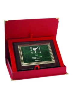 Plastový diplom s gravírováním na zlaté desce + ETUI