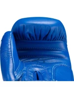 RTT-COMPETITION 10oz kožené boxerské rukavice (SCHVÁLENÉ SVĚTOVÝM BOXEM)