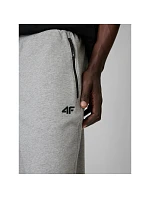 Pánské tepláky typu jogger 4F 4FRMM00TTROM2020-27M