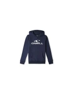 Mikina O'Neill Logo Hoodie Jr 92800615001