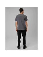 Pánské tepláky typu jogger 4F 4FRMM00TTROM2020-20S