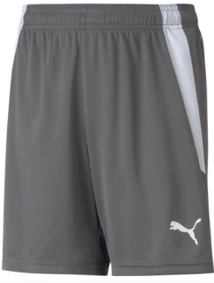 Puma teamLIGA Shorts Jr 704931 13