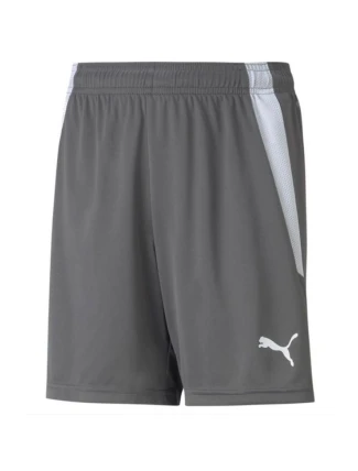 Puma teamLIGA Shorts Jr 704931 13