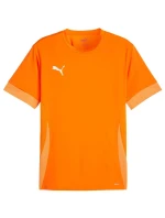 Puma teamGoal Matchday Jersey M 705747 08 pánské Puma teamGoal Matchday Jersey M 705747 08 pánské