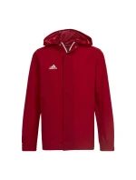 Bunda adidas Entrada 22 All-weather Jr HG6300