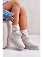 Sněhule Dámské Na Platformě Zateplené Kožíškem Světle Šedé Xamella