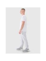Pánské tepláky typu jogger 4F 4FWMM00TTROM1139-27M