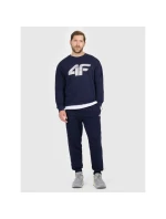 Pánské tepláky typu jogger 4F 4FRMM00TTROM1624-31S