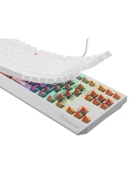 GENESIS Thor 230 TKL Herní klávesnice USB QWERTY US English White