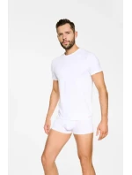 VESTA BOSCO RENE VILARD 19777 VESTA BOSCO RENE VILARD 19777