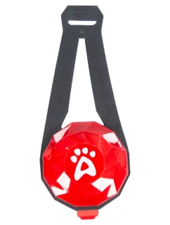 Led světlo na obojek Trespaws Glitterdog