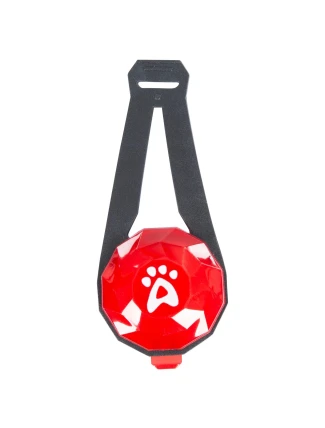 Led světlo na obojek Trespaws Glitterdog