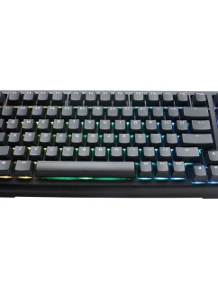 Ducky Tinker 75 Herní USB klávesnice US English Black