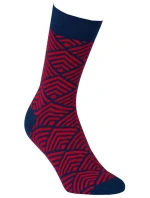 Vzorované pánské ponožky PERFECT MAN-CASUAL