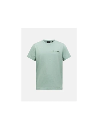 Dětské tričko PEAK PERFORMANCE Jr Original Small Logo Tee, zelené