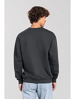 Fruit of the Loom Iconic 250 Set-In Sweat Mikina 16.2292 light graphite Fruit of the Loom Iconic 250 Set-In Sweat Mikina 16.2292 light graphite