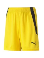 Puma teamLIGA Shorts Jr 704931 07
