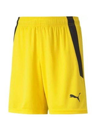 Puma teamLIGA Shorts Jr 704931 07