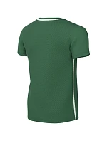 Dětské tričko Nike Dri-Fit Park 26 green HM7134 302