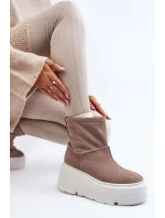 Kožené Dámské Boty Na Podpatku Platformy S Pásky Zazoo 1752 Bežové