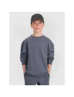 Mikina 4F JUNIOR 4FJRAW25TSWSM2448-22S