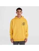 O'Neill Future Surf Society Hoodie M 92800613450