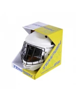 TEMPISH Hector Jr florbalová brankářská maska 135002006