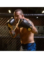 Boxerské rukavice 10oz - Hammer Gold - Legacy Series