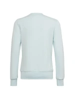 Dětská mikina Big Logo Swt Jr HM8707 - Adidas