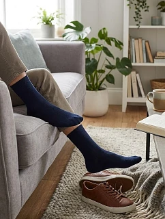 Pánské ponožky Regina Socks Passa
