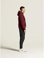 Craft Corporate Community 2.0 Hoodie M Pánská mikina s kapucí 81.5327 plaster Craft Corporate Community 2.0 Hoodie M Pánská mikina s kapucí 81.5327 plaster
