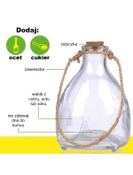 SKLENĚNÁ PAST NA VOSY 2KS KINZO