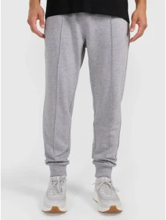 Pánské tepláky typu jogger 4F 4FRAW25TTROM1671-27M