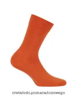 Pánské ponožky Wola Perfect Man W 94.N03 Pánské ponožky Wola Perfect Man W 94.N03