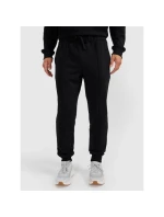 Pánské tepláky typu jogger 4F 4FRAW25TTROM1671-20S