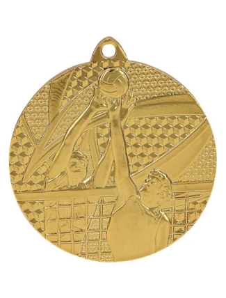 zlatá medaile - volejbal