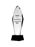 Gravírovaná skleněná trofej + malířská výplň