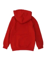 Mikina Puma DCT Hoodie Jr 849258 11
