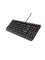 GENESIS Thor 230 TKL Herní USB QWERTY klávesnice španělská černá GENESIS Thor 230 TKL Herní USB QWERTY klávesnice španělská černá