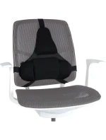 Profesionální polštářek na podporu zad Fellowes Ergonomics
