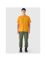 Pánské tričko oversize s potiskem 4F 4FRAW24TTSHM2578-70S