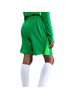 Dětské šortky Nike FC Barcelona 2025/26 Stadium Goalkeeper green HQ0475 310