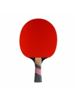 Pálka na stolní tenis Conrilleau Excell Carbon 3000 Pálka na stolní tenis Conrilleau Excell Carbon 3000
