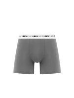 Pánské boxerky Vuch Ragaz Grey