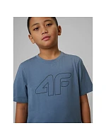 Chlapecké tričko s potiskem 4F 4FJRSS26TTSHM3599-10S